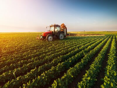 Curriculum 01: Agricultural